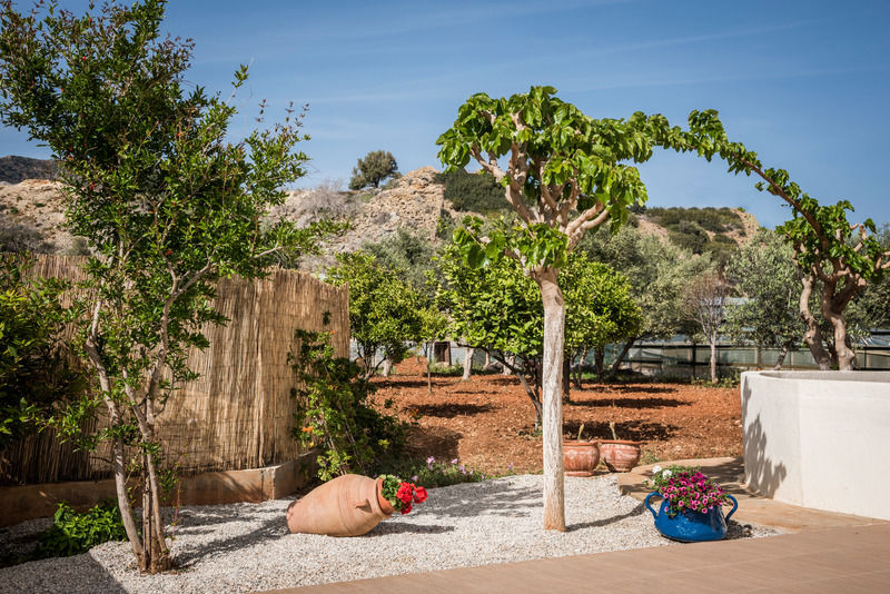 Mear Apartments And Studios Gialos  Esterno foto